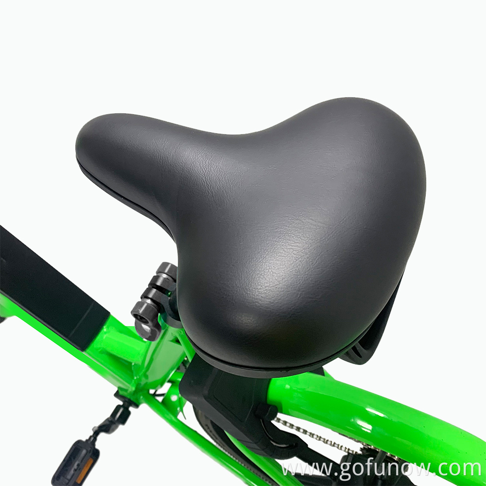 Gofunow Electric Bikes for Rental